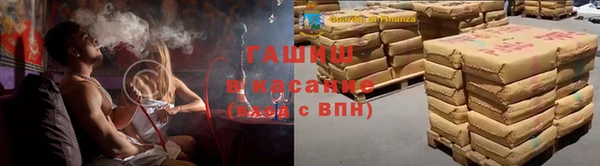 прущие грибы Абинск