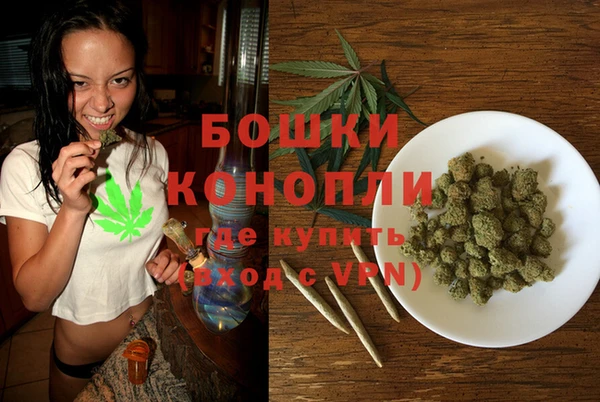 прущие грибы Абинск