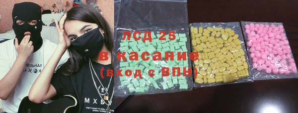 прущие грибы Абинск